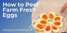 Step-by-step guide on peeling farm fresh eggs, featuring a plate of perfectly boiled eggs with bright orange yolks, presented by Mesquite Field Farm.